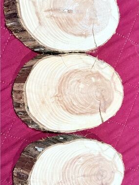 Natural Wood Slice Coasters - Rustic Round Set in Pink